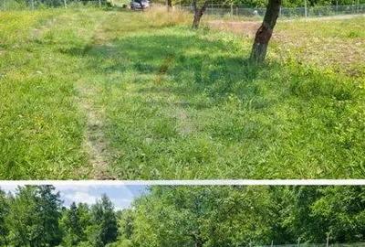 Casă cu 2 camere cu Teren 9035 Mp în Breb - 1