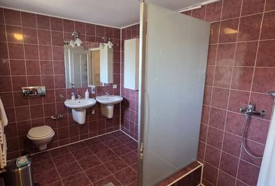 Casă cu 5 camere cu Teren 314 Mp în Bucureștii Noi - 8