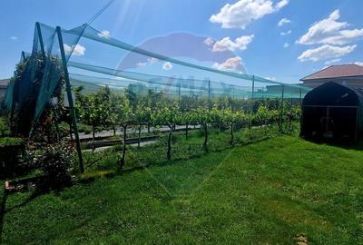 TEREN Investitie livada cu 116 pomi fructiferi in Comuna Livada - 1