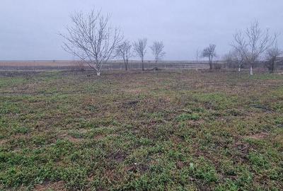 Casă cu 4 camere cu Teren 3361 Mp în Mihăilești - 2