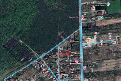 Vand Teren Saftica - Balotesti Iflov - 1