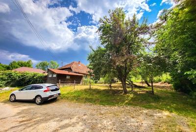 Teren Construcții intravilan de 11600 mp, în Valea Lungă-Gorgota - 3