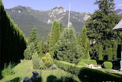 Teren de 1747 mp, în Piatra Arsă - 8