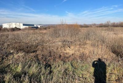 Teren Construcții intravilan de 27921 mp, în Săcădat - 6