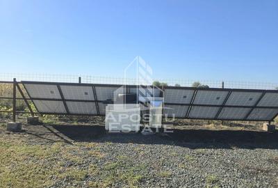 Fermă cu casa, zero comision, in Horia - 8