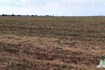 Oferim spre vanzare 6 loturi de teren extravilan (agricol) in Petrachioaia ILFOV Oferim spre vanzare 6 loturi de teren extravilan (agricol) in Petrachioaia ILFOV - 13