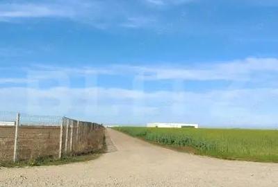 Teren de 59000 mp, în Ariceștii Rahtivani - 5