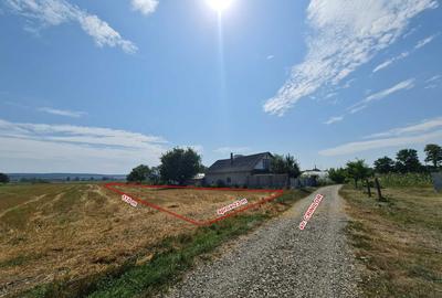 Teren de 2500 mp, în Timișești - 6