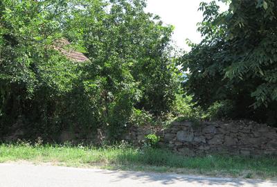 Loc de casa - Covasant - 2