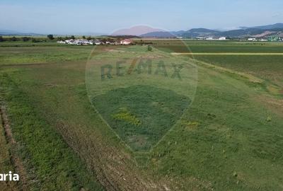 Teren de 39500 mp, în Vințu de Jos - 8