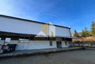 Spatiu industrial cu utilizare mixta(productie ,depozit, birouri) – de inchiriat - 1