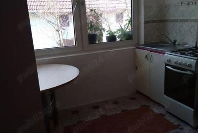 Casă cu 3 camere cu Teren 3000 Mp în Fârliug - 3