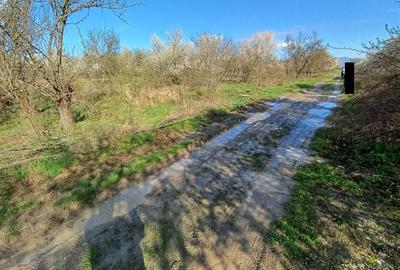 Lapusel, 60ari livada - 1