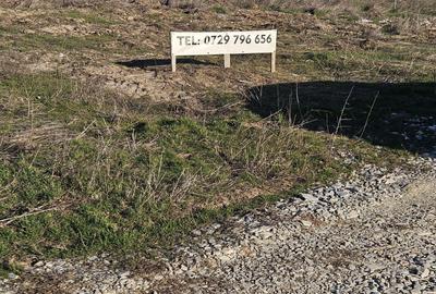 Apartament cu 3 camere în Plaiul Vulcanești - 3