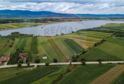 Teren superb Unciuc / jud.Hunedoara - 11