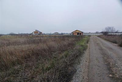 Teren Construcții intravilan de 1860 mp, în Corbeanca - 11