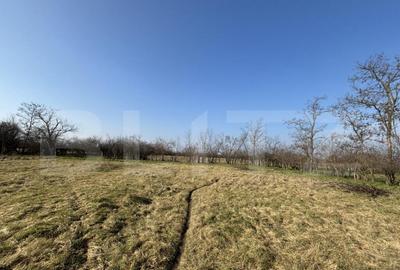 Teren intravilan, 500 mp, zona Beregsau Mare - 1