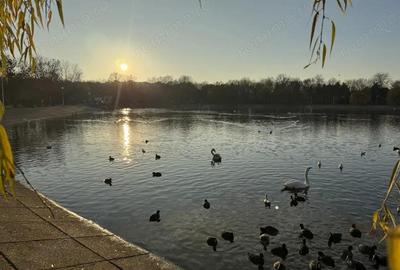 Apartament 3 Camere Aleea Sinaia - Doamna Ghica - 9