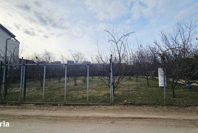 Teren de 1000 mp, în Gruiu - 3