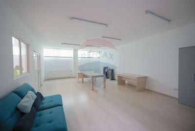 De vanzare spatiu industrial PGS Sofa, calea Borsului - 28