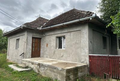 Casă individuală cu 3 camere cu Teren 3100 Mp în Asuaju de Jos - 2
