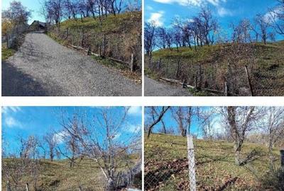 Teren cota parte 1/2, Sat Vistieru, ID: R2809860 - 7