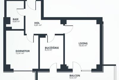 Apartament cu 2 camere decomandat în Tătărași - 16