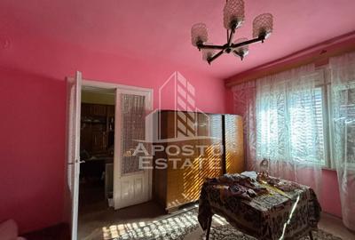 Casa cu 5 camere, 777 mp teren la MOLDOVA VECHE, ideal casa de vacanta - 7