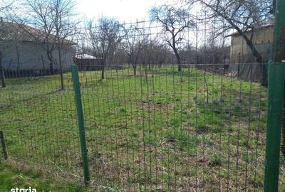 Teren de 2500 mp, în Scorțeni - 2