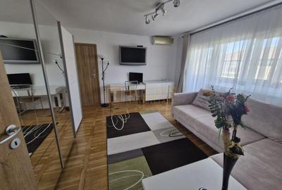 Apartament cu 2 camere semidecomandat, mobilat în Spitalul Județean - 2