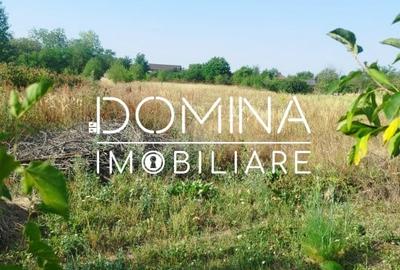 Teren Construcții intravilan de 3650 mp, în Nord - 5