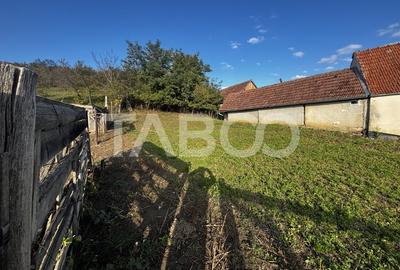 Exclusivitate comision 0% casa cu anexe si teren 3700 mp Alamor - 6