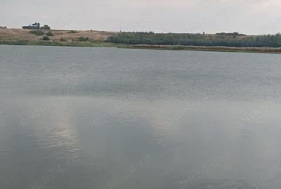 Teren de 10000 mp, în Hotarele - 2