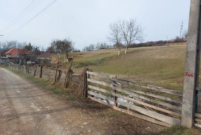 Teren de 1305 mp, în Valea Crișului - 1