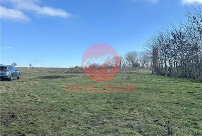 Teren de 1200 mp, în Sud - 5