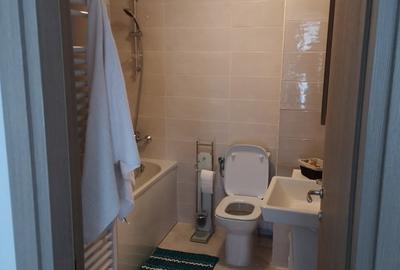 Apartament cu 3 camere decomandat în Drumul Taberei - 13