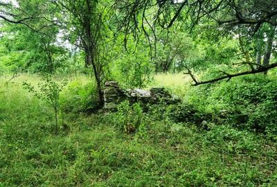 Teren Construcții intravilan de 5700 mp, în Câmpulung Muscel - 9