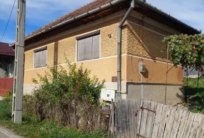 Casa de vanzare in Ludus - 3