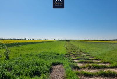 Teren agricol extravilan de 15170 mp, în Domnești - 9