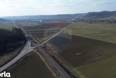 Teren de 19319 mp, în Laslea - 12