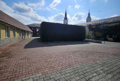 Spațiu comercial, de 220 mp, în Biharia - 6