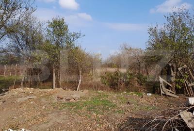 Casă cu 2 camere cu Teren 1160 Mp în Ghindeni - 5