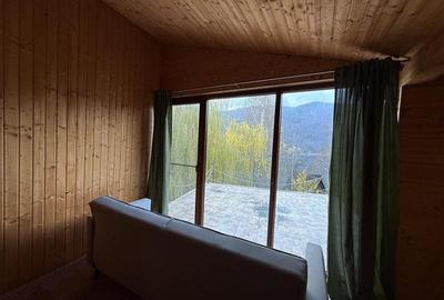 Casa de vacanta cu panorama  spre lac - 24