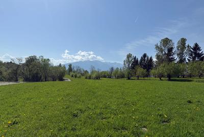 Teren Construcții intravilan de 500 mp, în Tohănița - 10