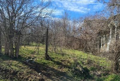 Teren de 2364 mp, în Brăhășești - 6