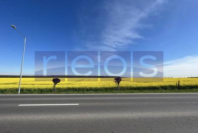 | OPORTUNITATE | DE VANZARE TEREN BRANESTI 41.317 mp DESCHIDERE 85 m - 3