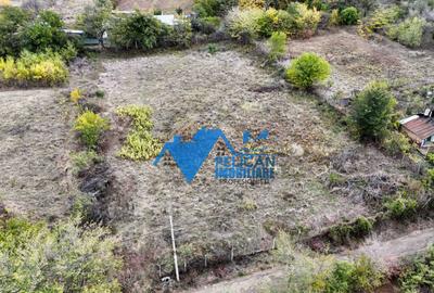 Teren intravilan NICULITEL, zona deosebita, 3044MP - 14