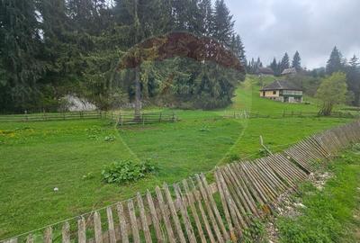 Teren 1,041mp Fundatica / Drumul Fundatica - 3