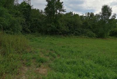 Casă cu 2 camere cu Teren 2000 Mp în Julița - 1