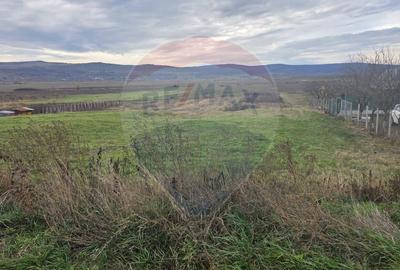 Teren intravilan si extravilan 8,282mp oras Negresti, judetul Vaslui - 9